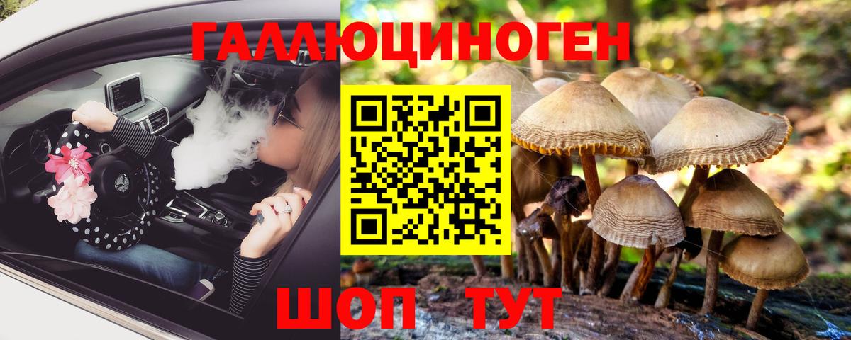 Галлюциногенные грибы GOLDEN TEACHER  Вход с VPN  Волгоград 