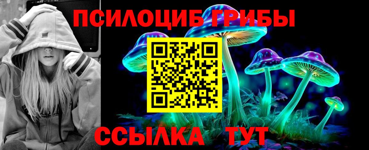 Галлюциногенные грибы Psilocybe Волгоград